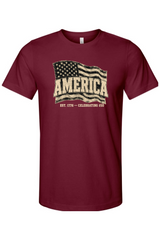 Celebrating 250 America T-Shirt