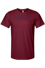 Celebrate the Next Chapter America 250 T-Shirt