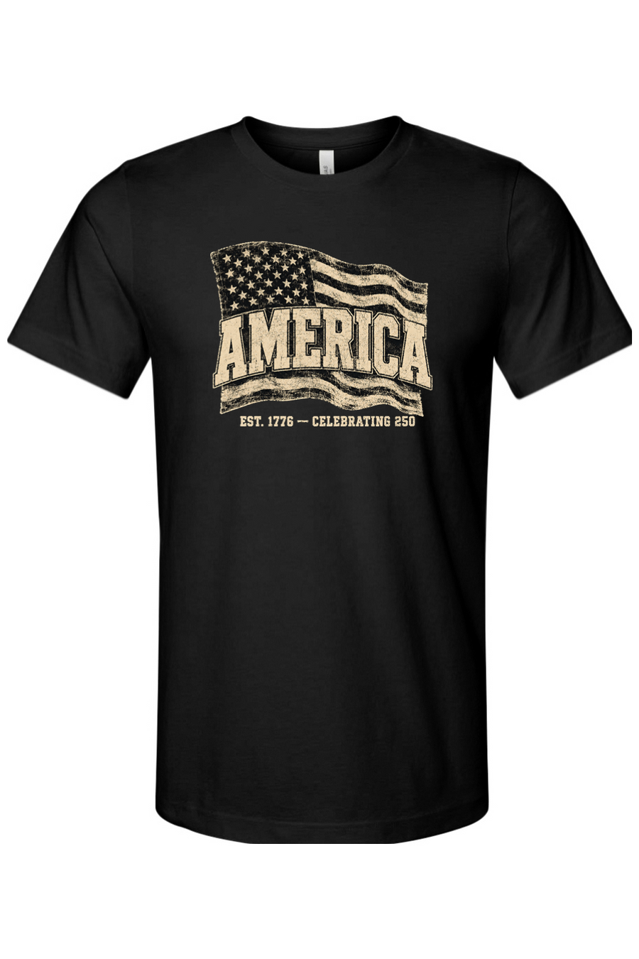Celebrating 250 America T-Shirt