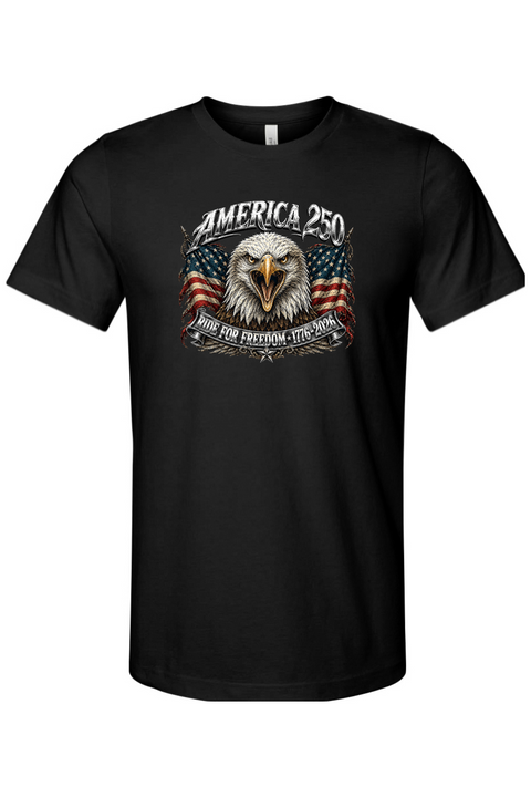 Ride For Freedom Eagle T-Shirt