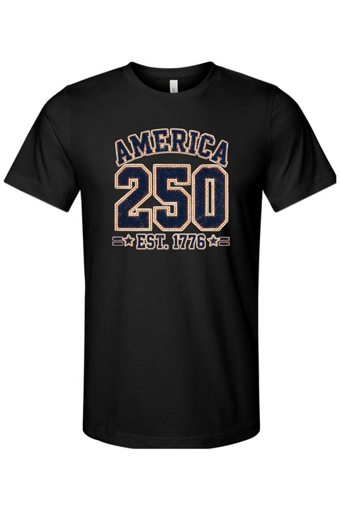 Est. 1776 America T-Shirt