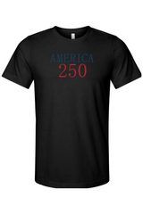 Celebrate the Next Chapter America 250 T-Shirt