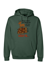 Green Christmas hoodie with 