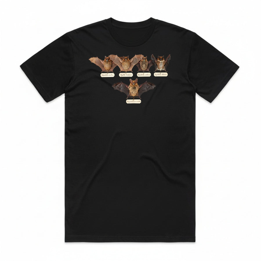 Bat Specimens T-Shirt - Black Cat