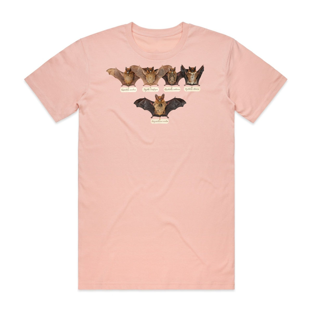 Bat Specimens T-Shirt - Boo-tiful Blush