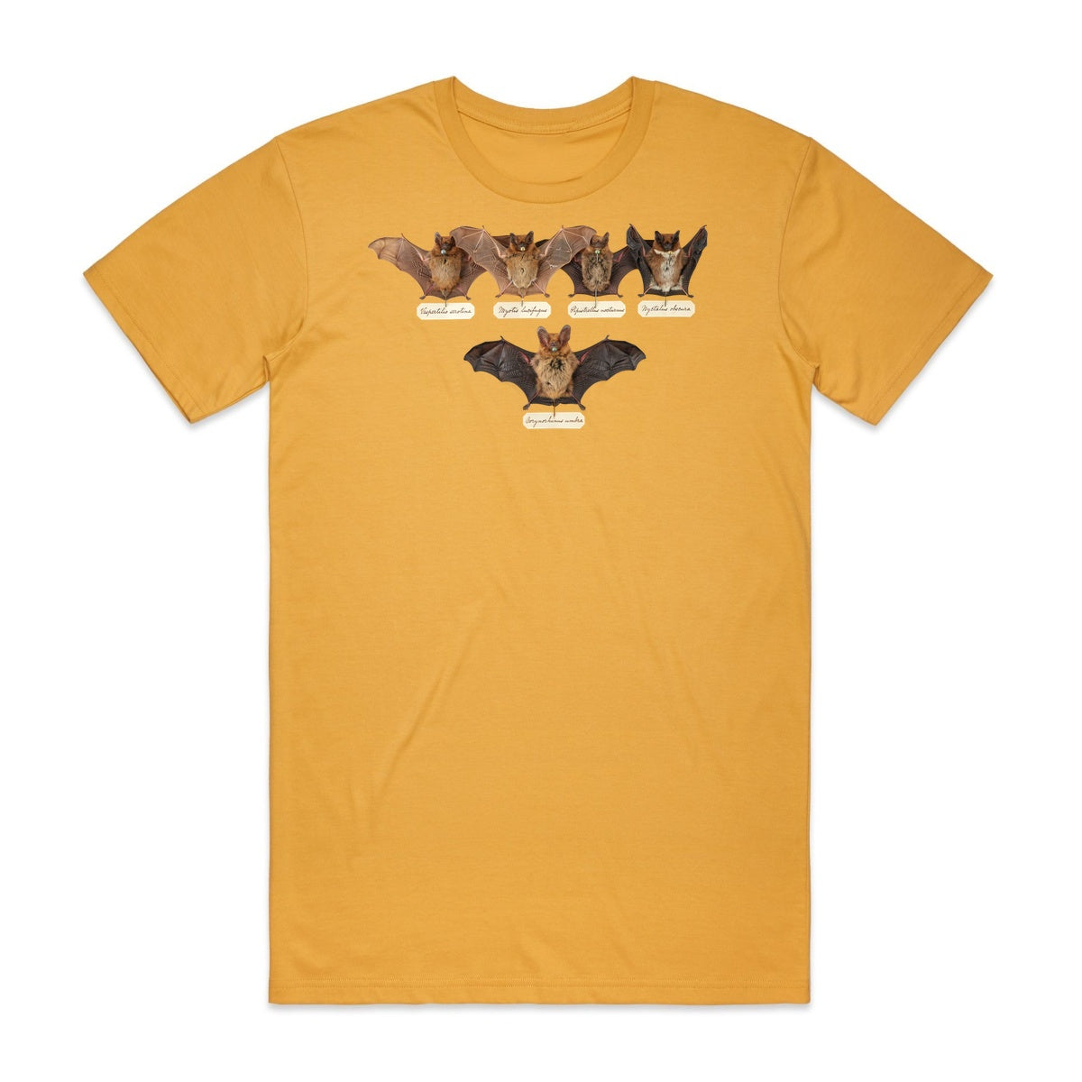 Bat Specimens T-Shirt - Candy Corn