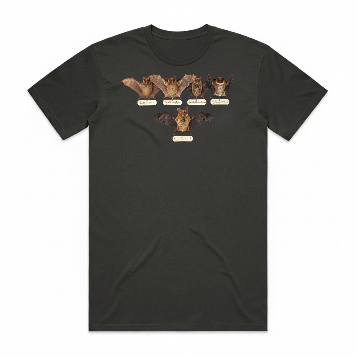 Bat Specimens T-Shirt - Cooled Coals