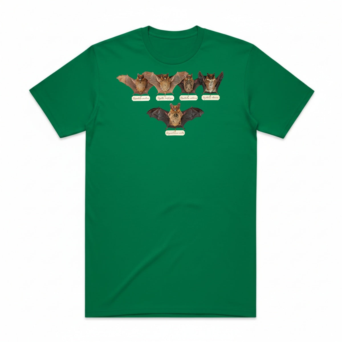 Bat Specimens T-Shirt - Frankenstein