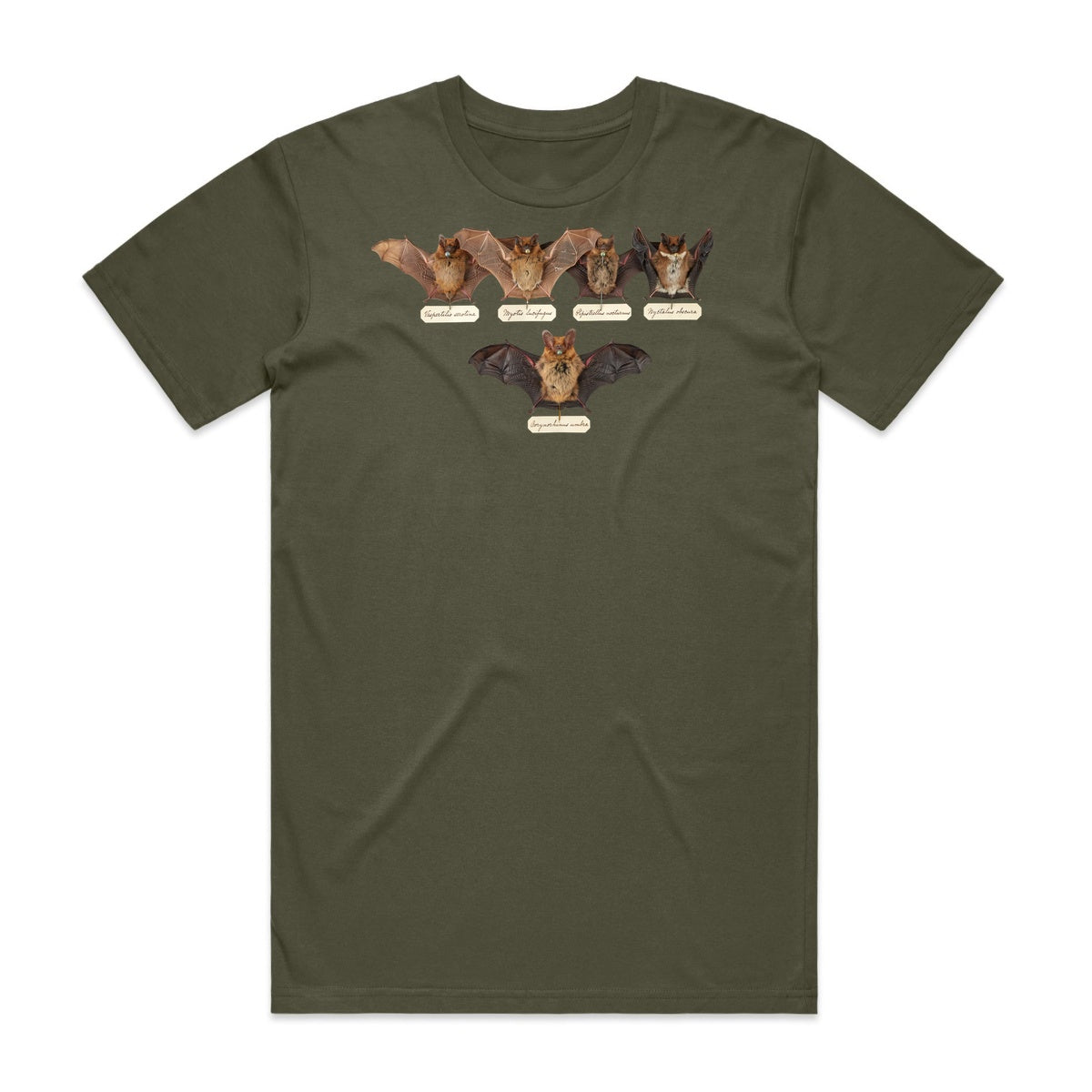 Bat Specimens T-Shirt - Goblin Green
