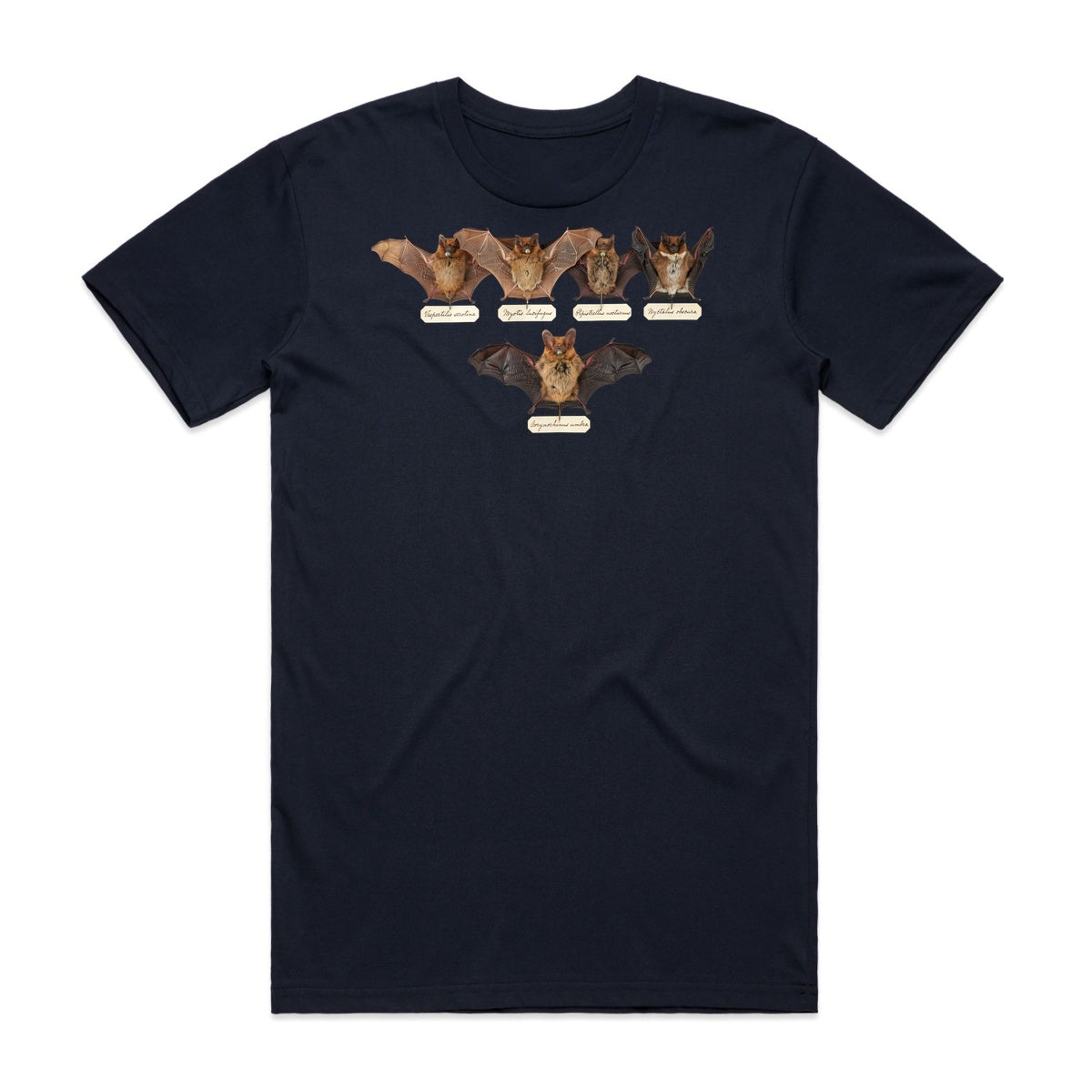 Bat Specimens T-Shirt - Midnight Haunt