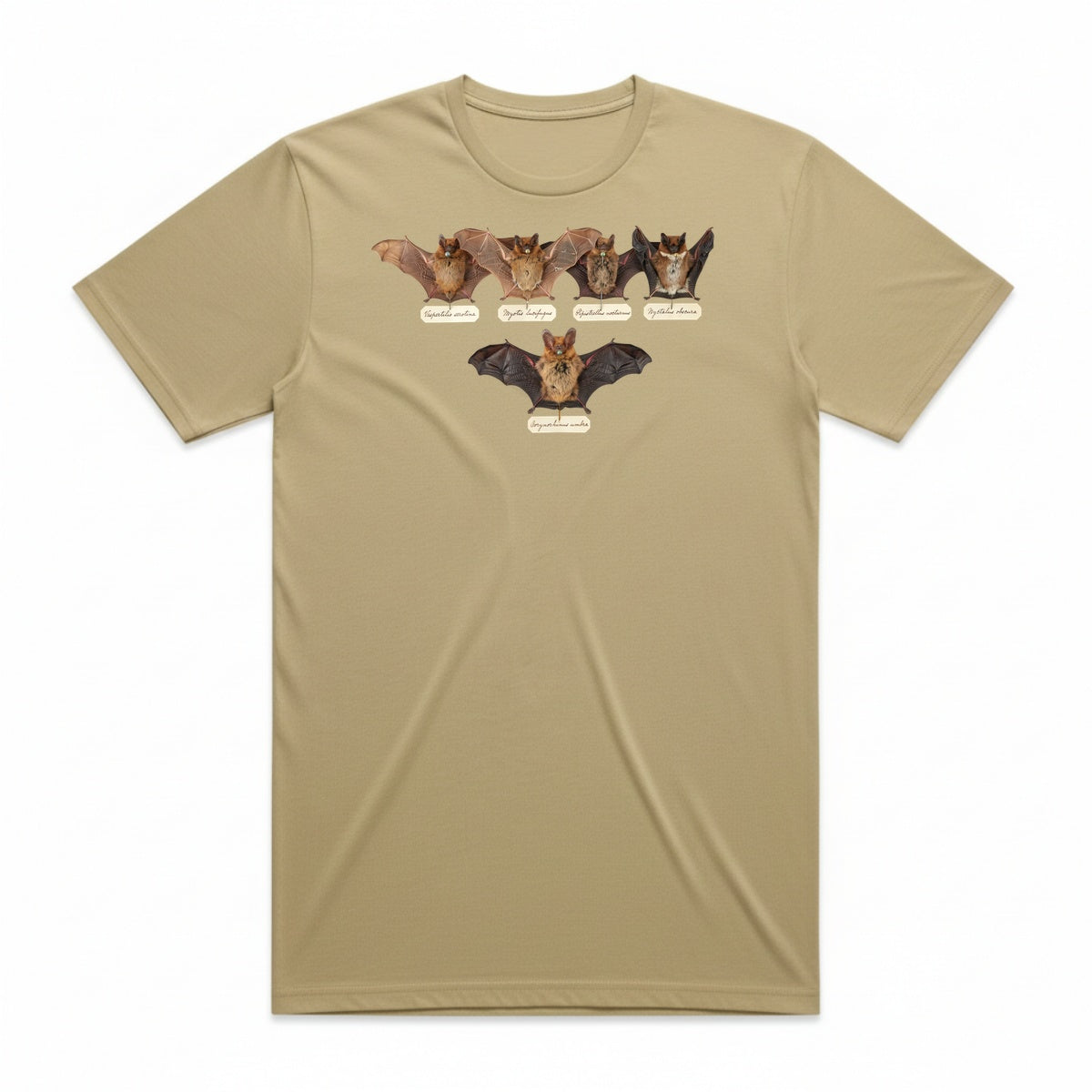 Bat Specimens T-Shirt - Mummy Wrap
