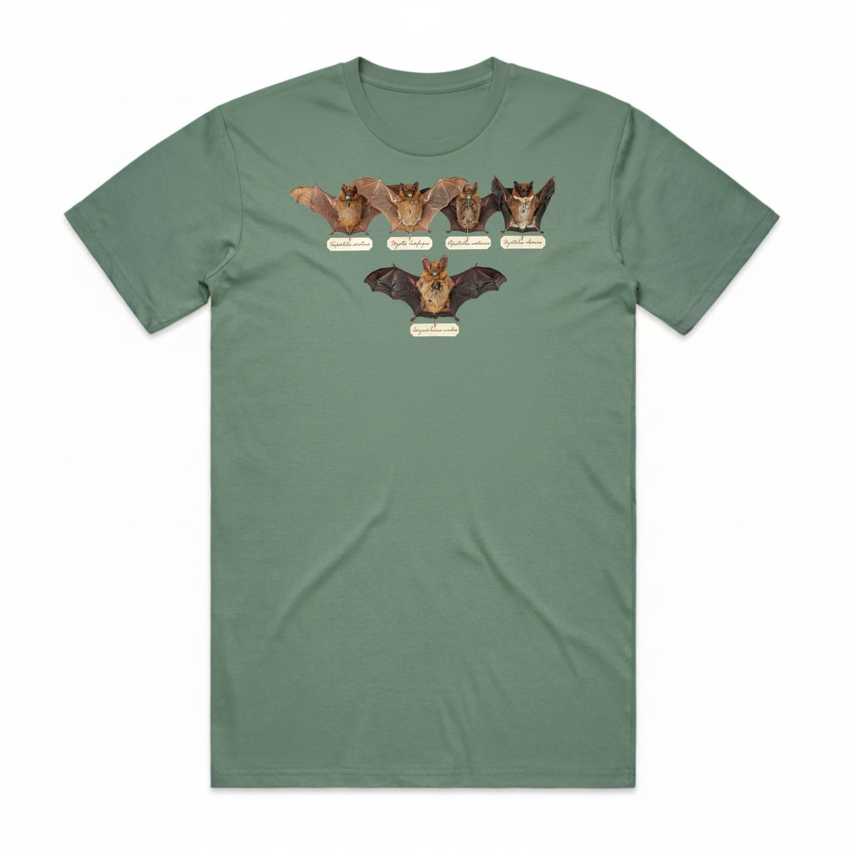 Bat Specimens T-Shirt - Swamp Zombie