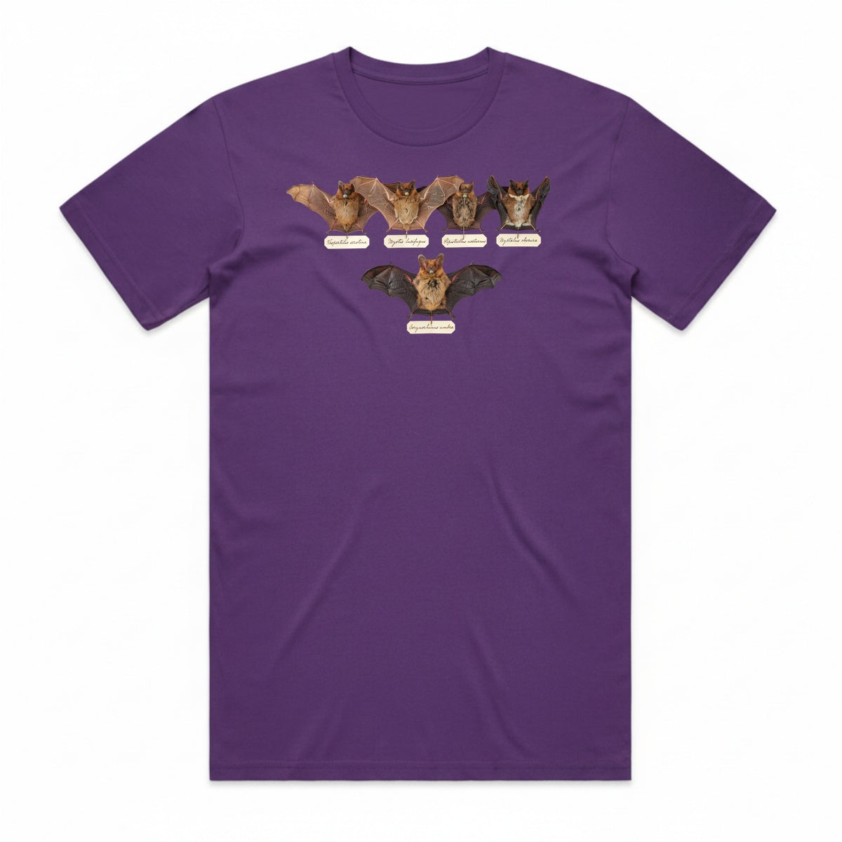 Bat Specimens T-Shirt - Witch's Potion