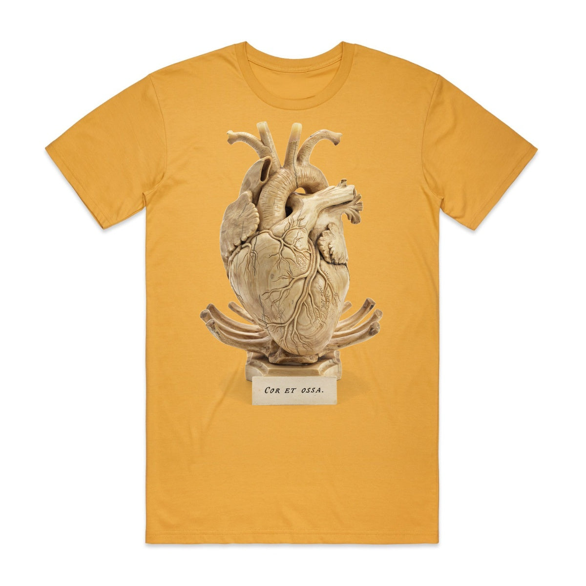 Cor Et Ossa T-Shirt - Candy Corn