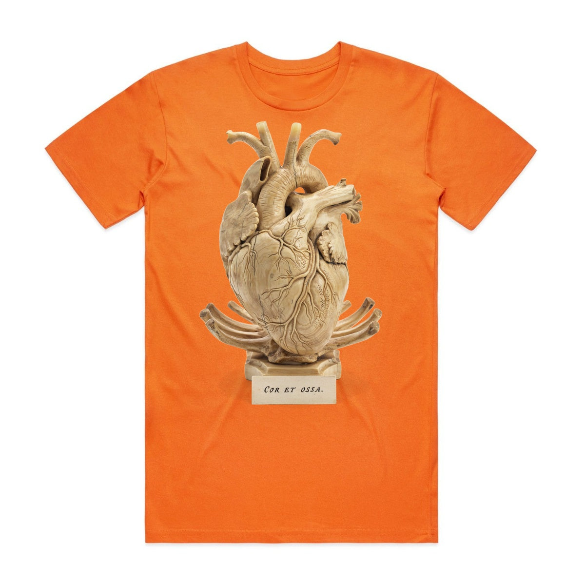 Cor Et Ossa T-Shirt - Pumpkin Patch