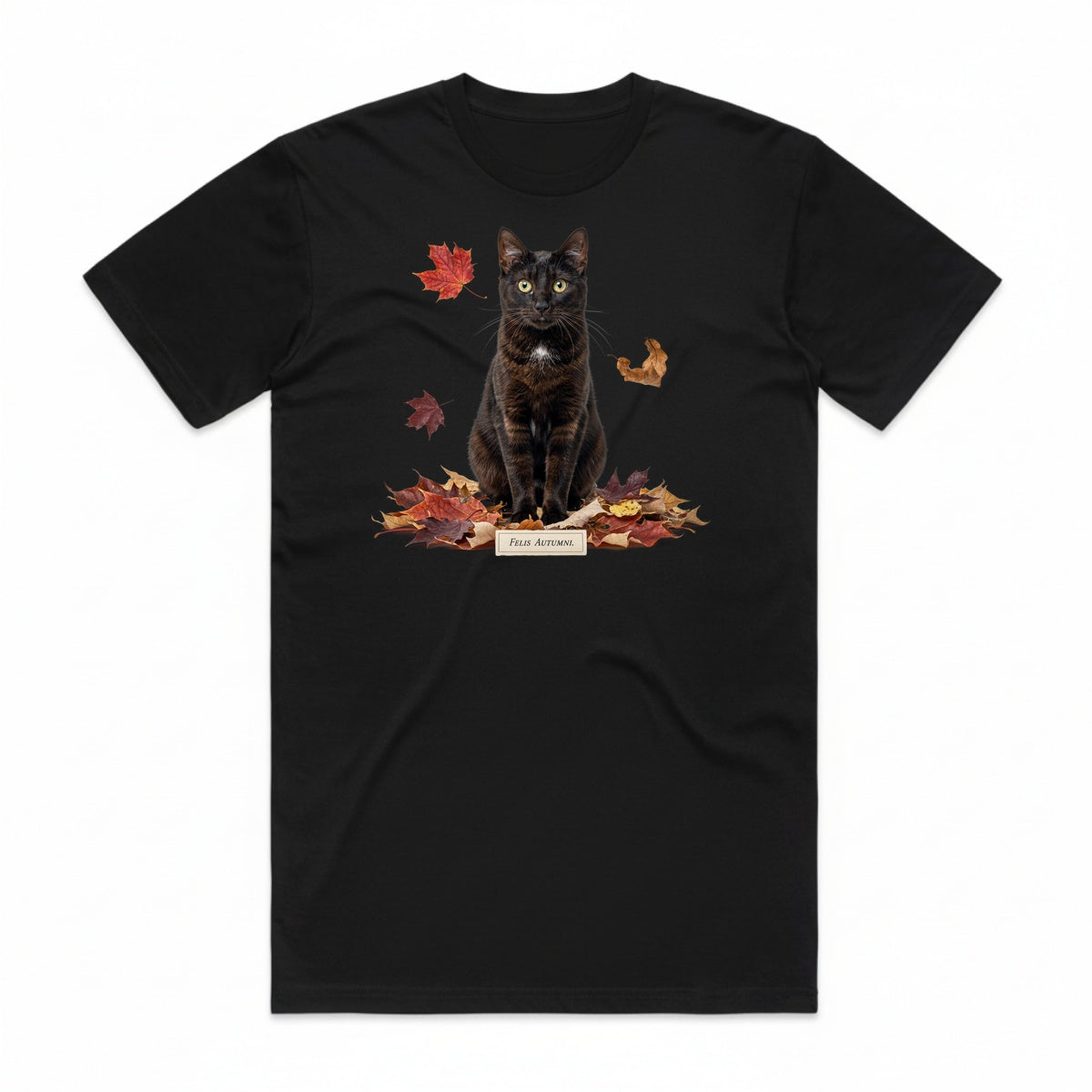 Felis Autumni T-Shirt - Black Cat