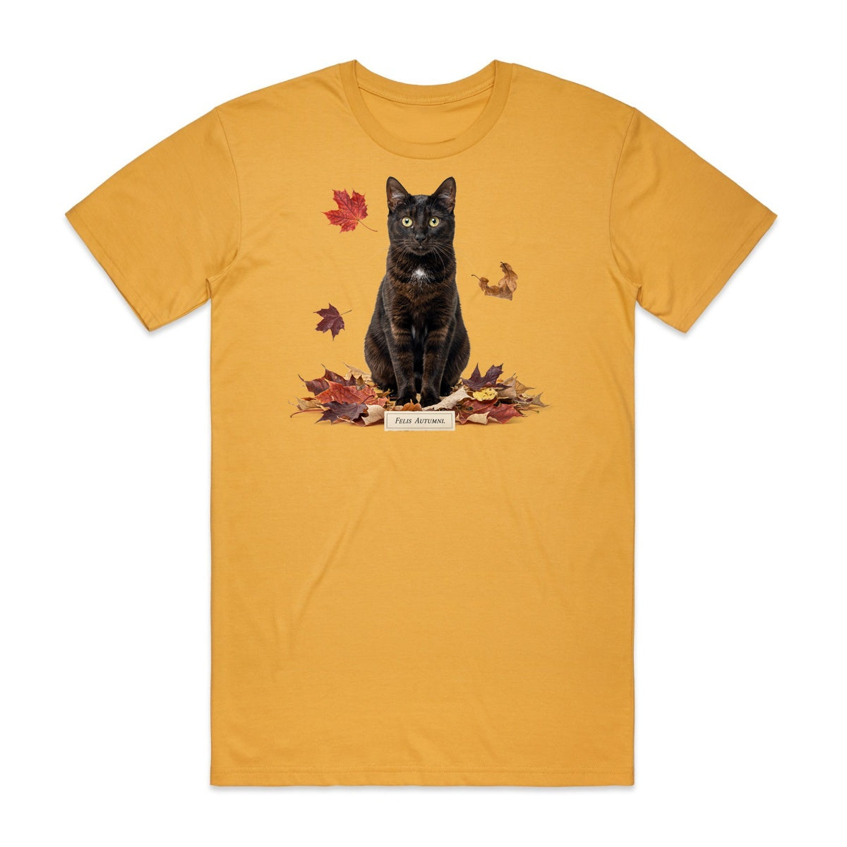Felis Autumni T-Shirt - Candy Corn