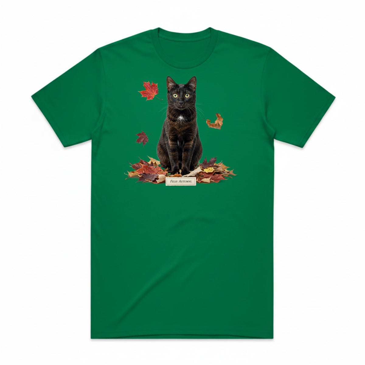 Felis Autumni T-Shirt - Frankenstein