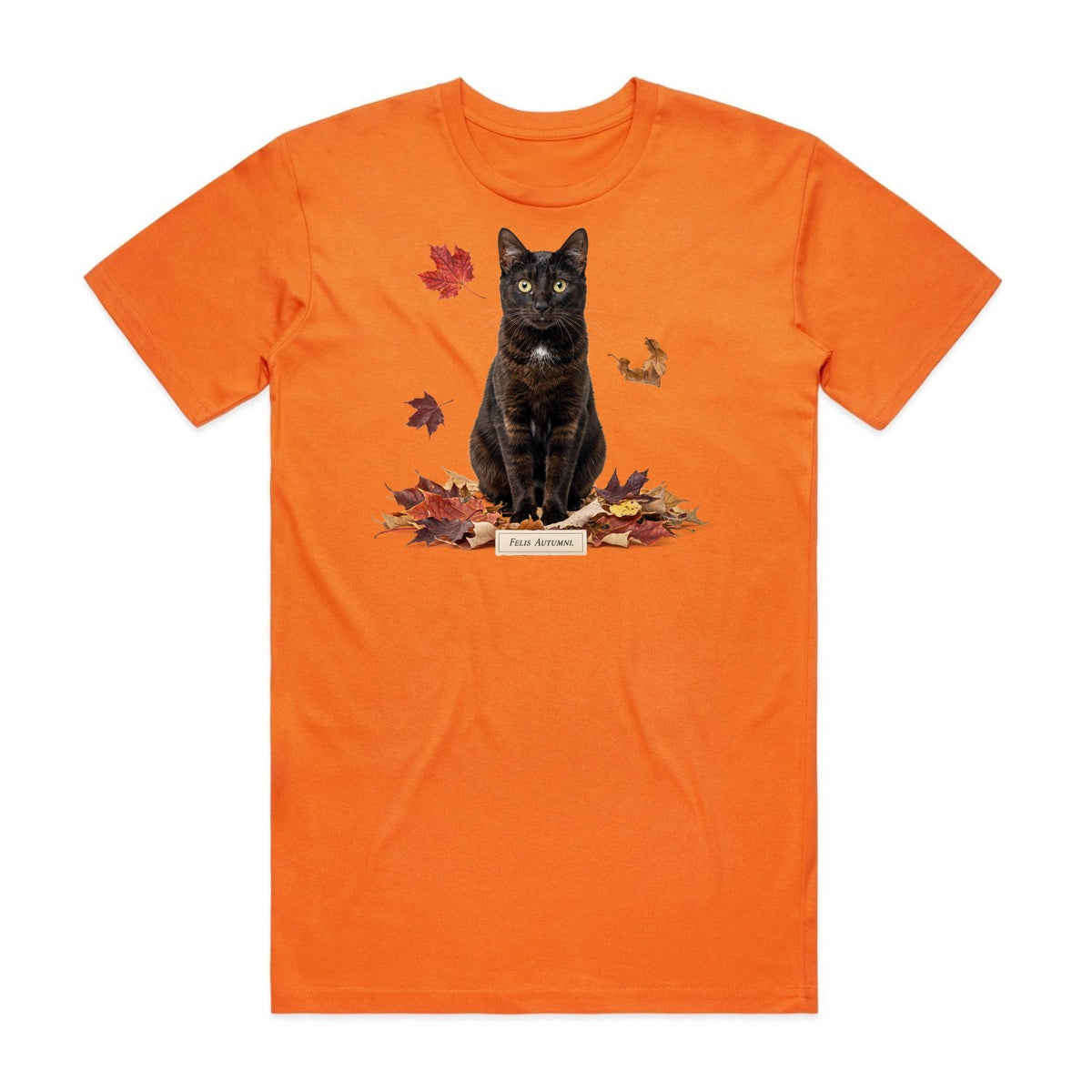 Felis Autumni T-Shirt - Pumpkin Patch