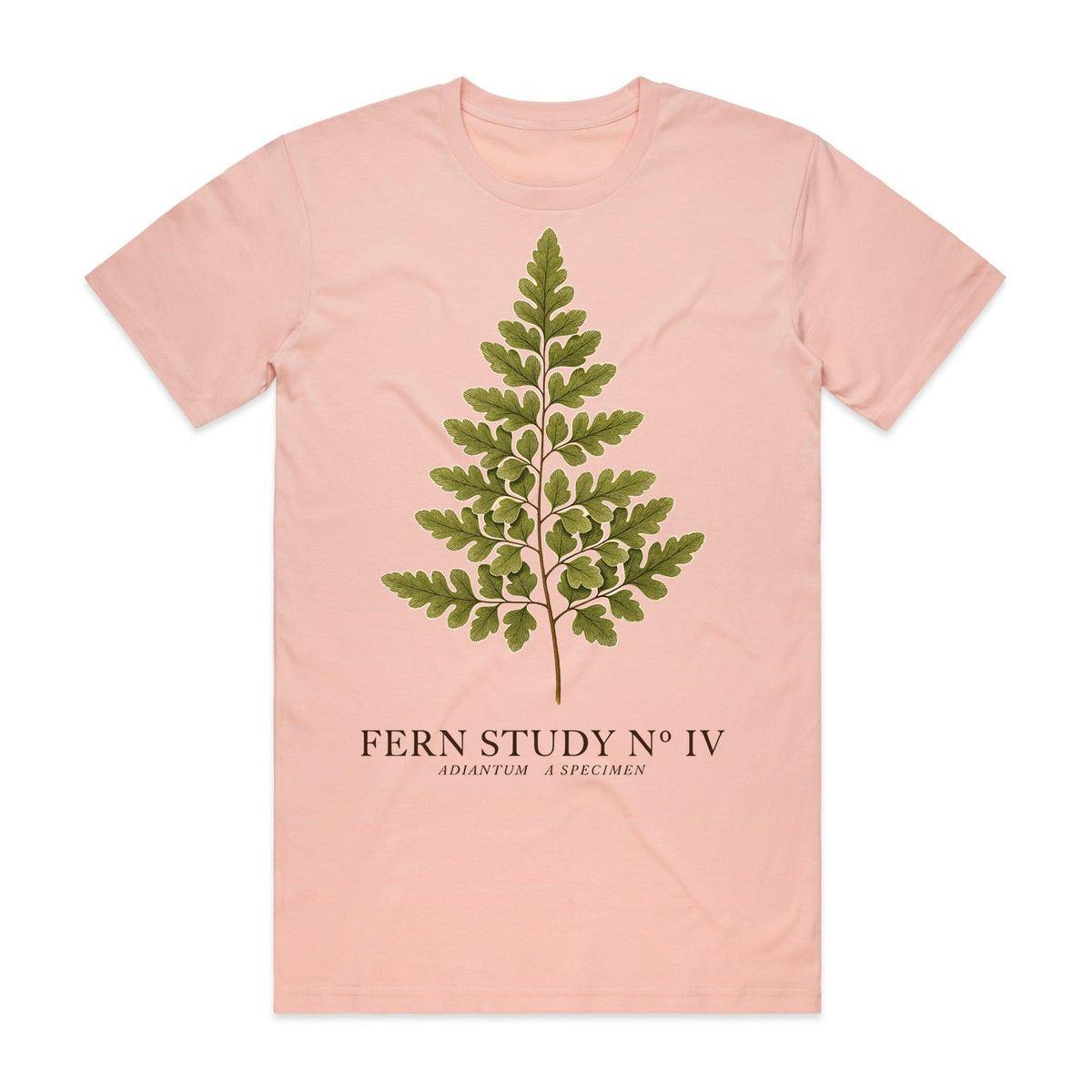 Fern Study No. 4 T-Shirt