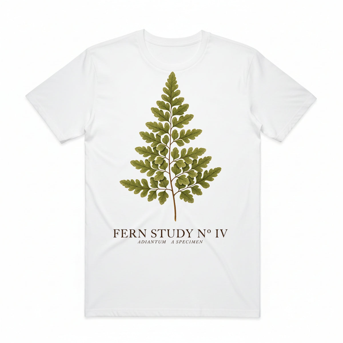 Fern Study No. 4 T-Shirt