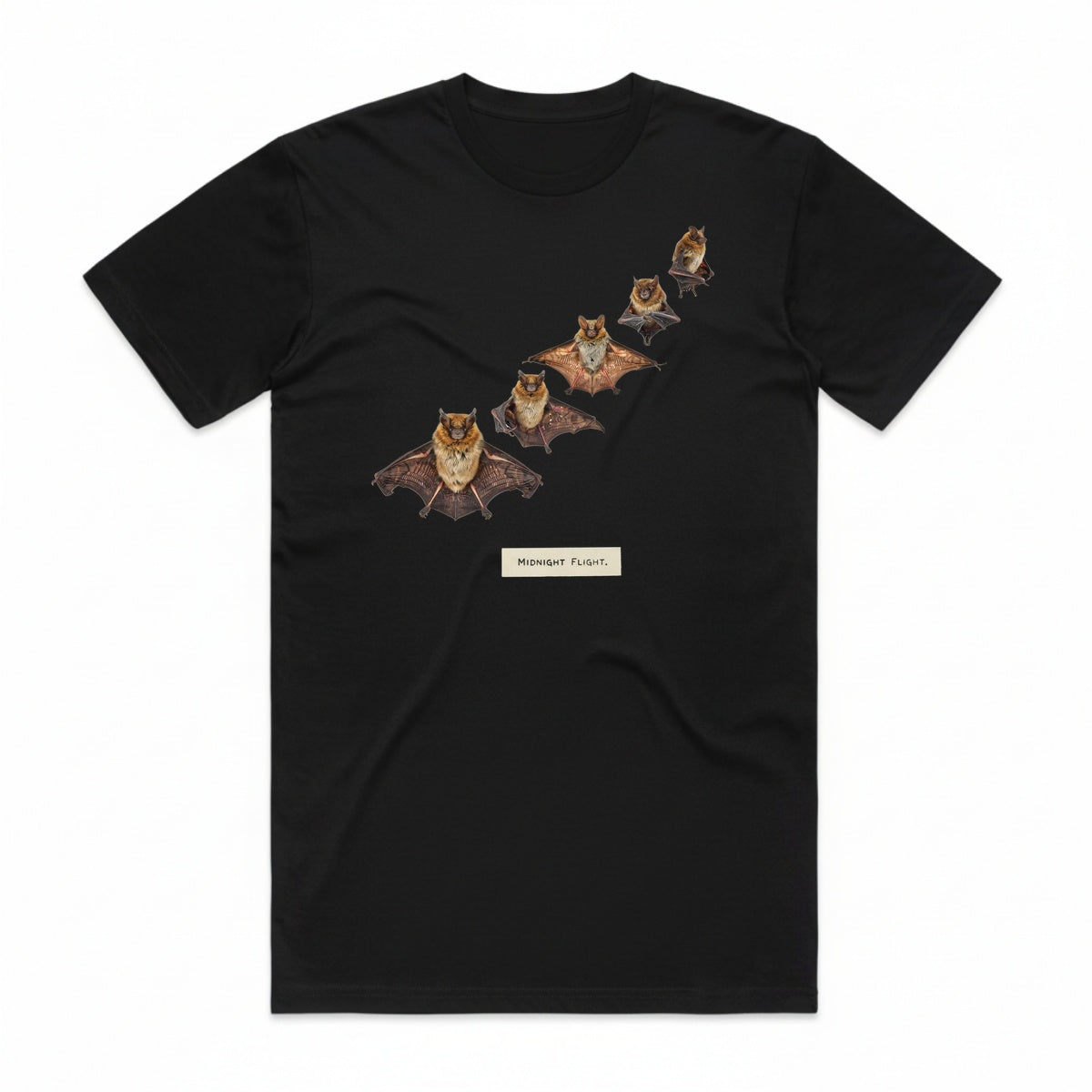 Midnight Flight T-Shirt - Black Cat