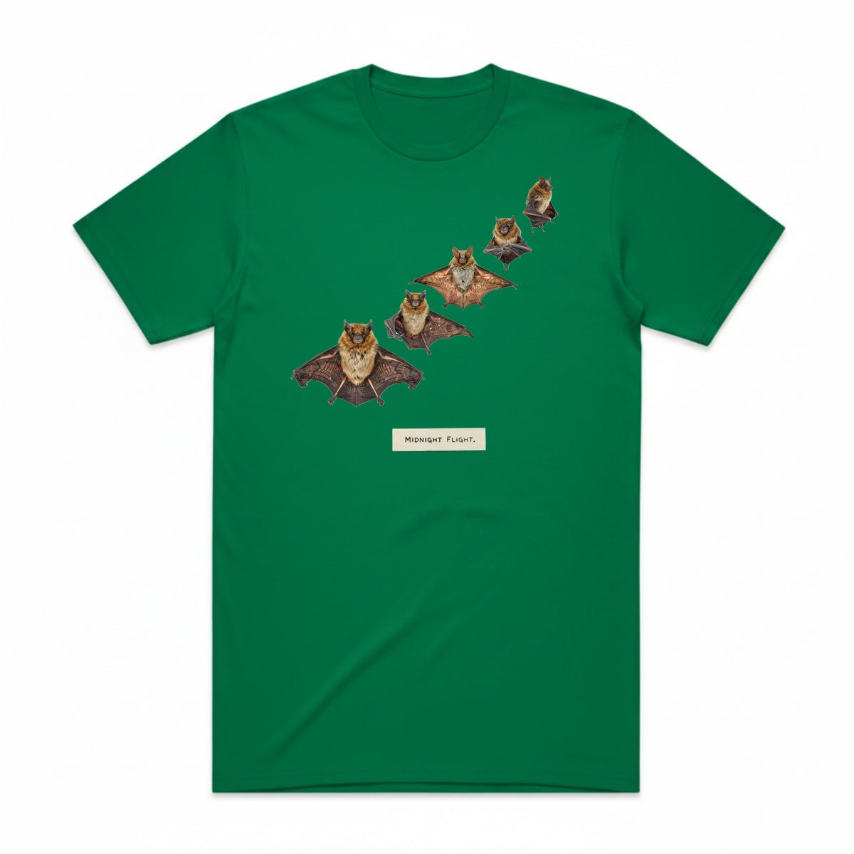 Midnight Flight T-Shirt - Frankenstein
