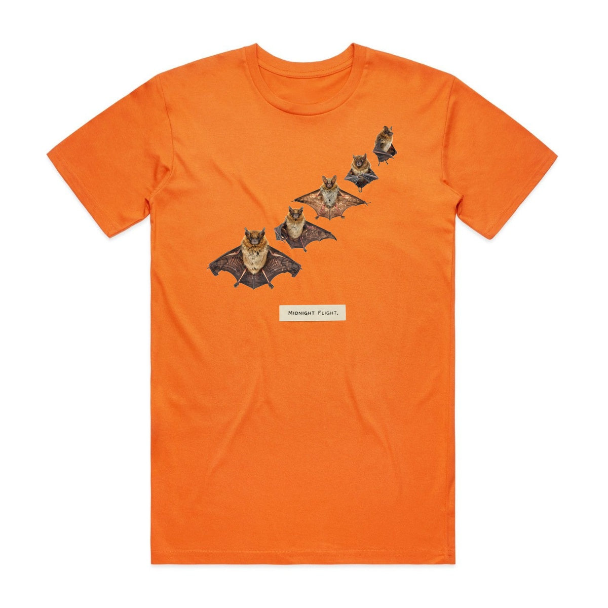 Midnight Flight T-Shirt - Pumpkin Patch