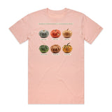 Pumpkins Of North America T-Shirt - Boo-tiful Blush