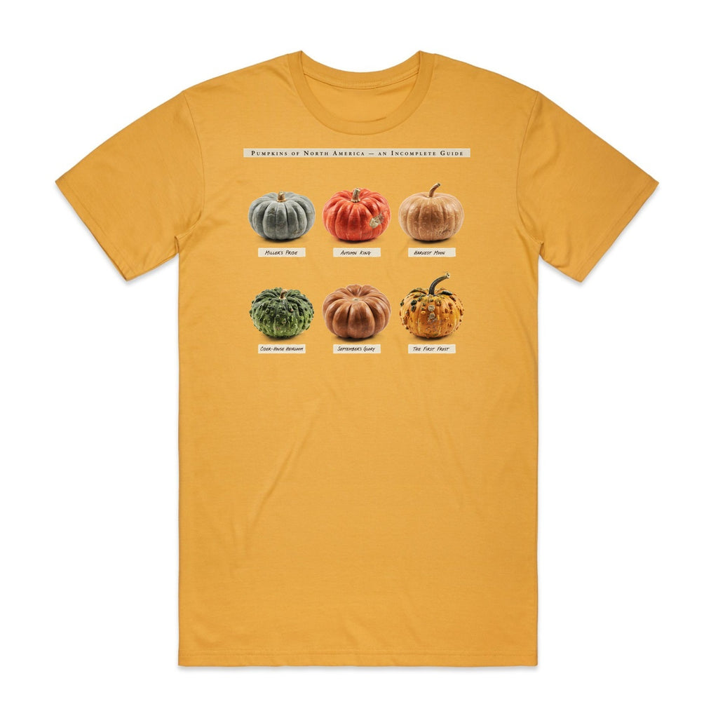 Pumpkins Of North America T-Shirt - Candy Corn