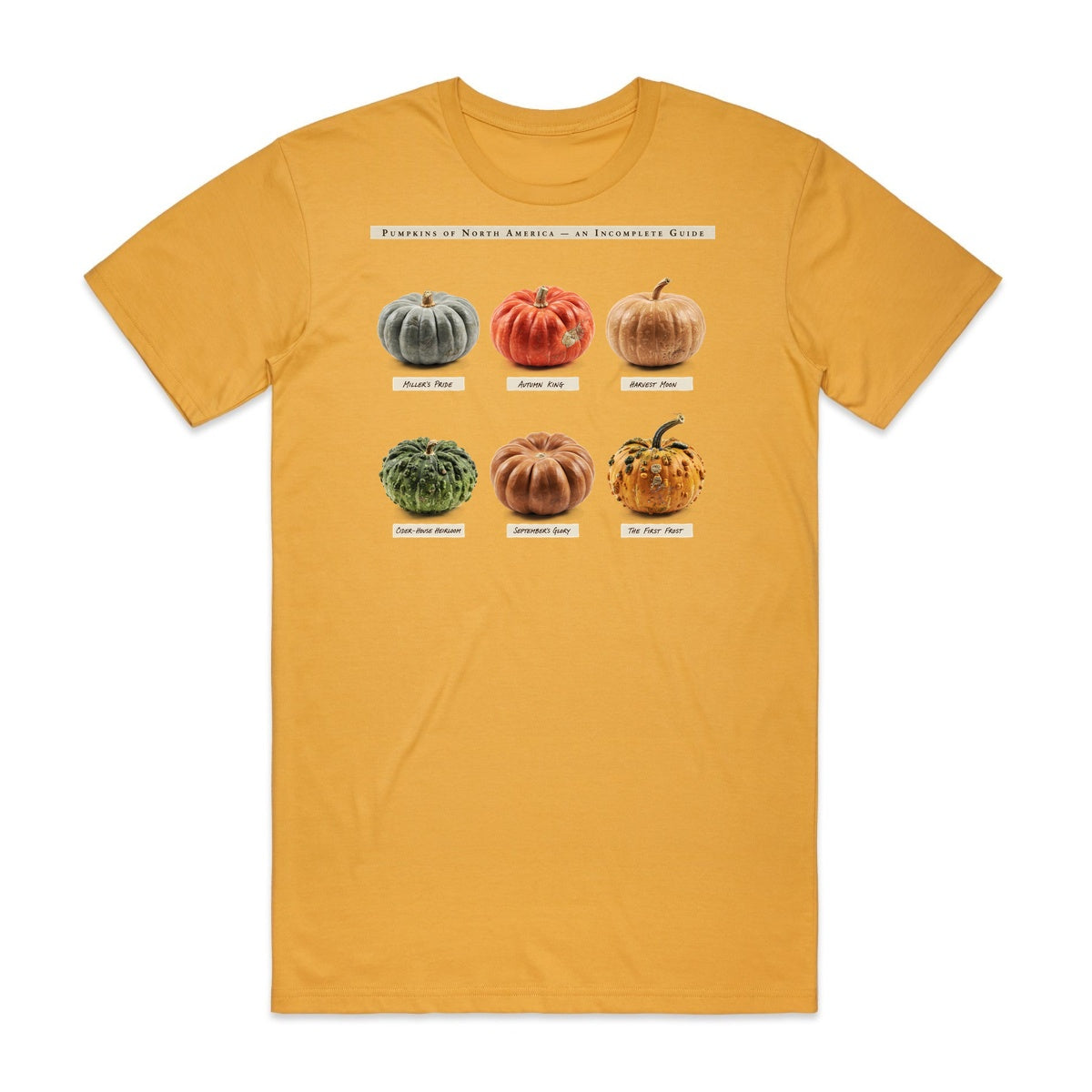 Pumpkins Of North America T-Shirt - Candy Corn