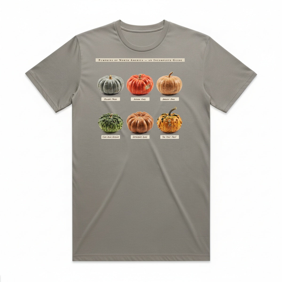 Pumpkins Of North America T-Shirt - Phantom Gray