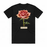 Rosa Ossium T-Shirt - Black Cat