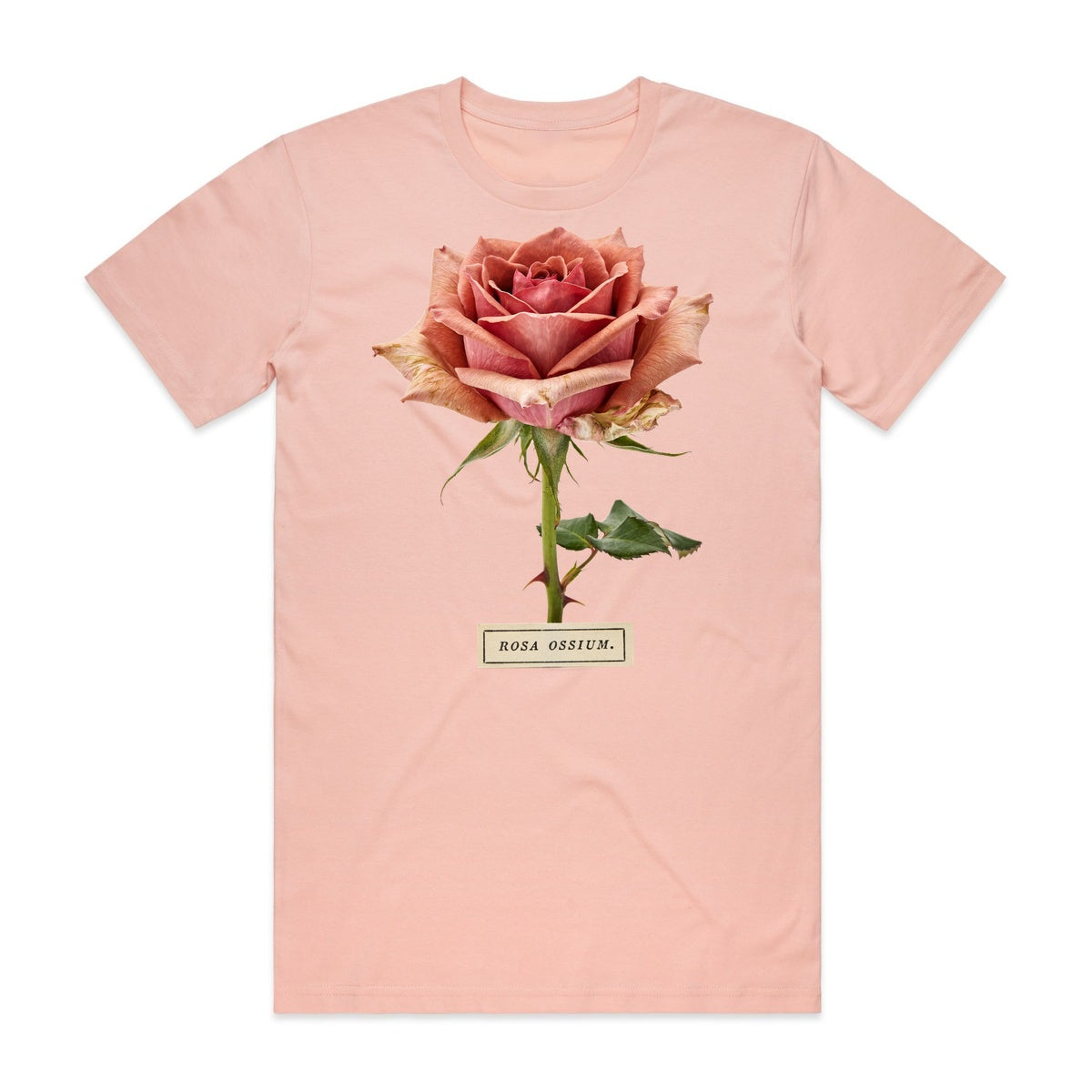 Rosa Ossium T-Shirt - Boo-tiful Blush