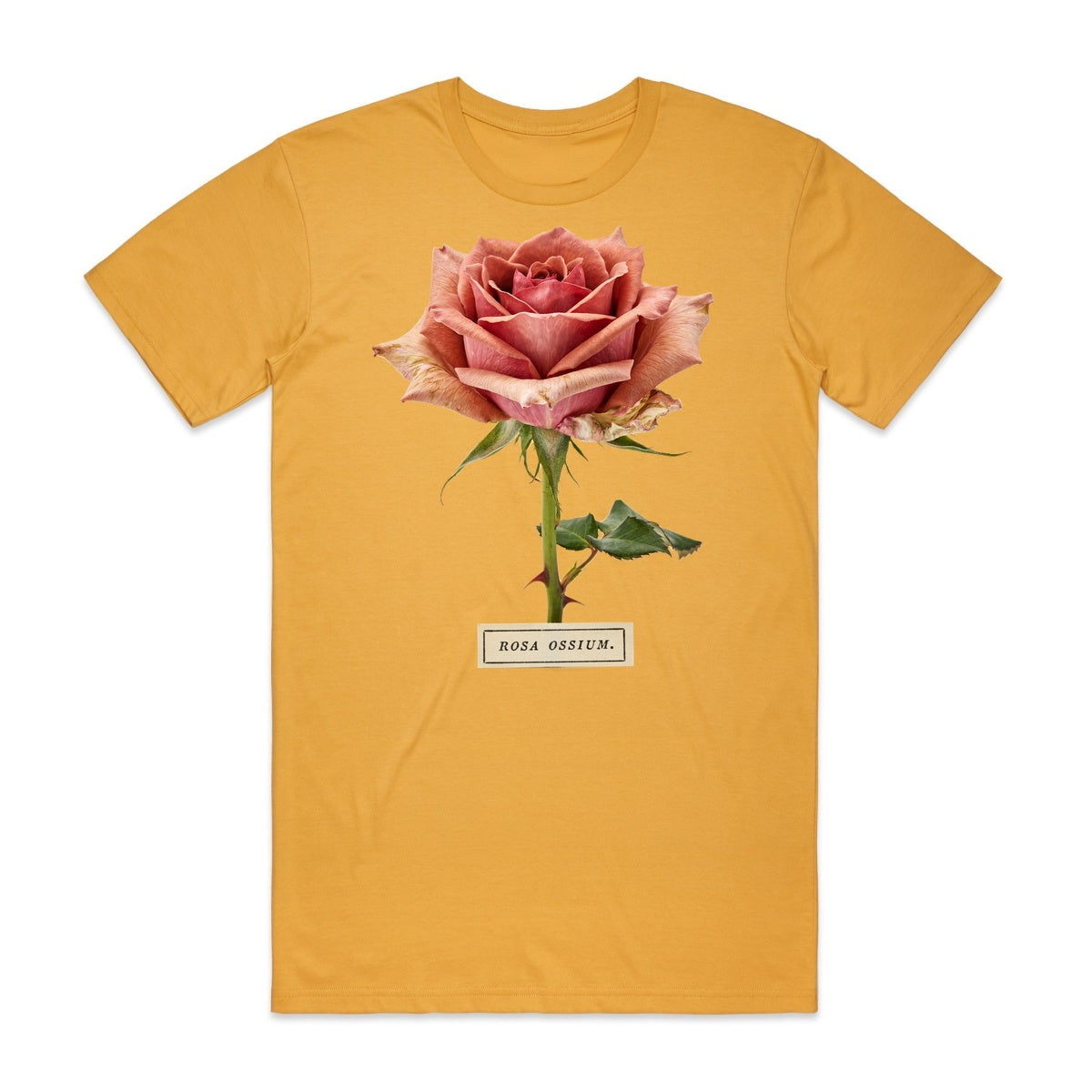 Rosa Ossium T-Shirt - Candy Corn