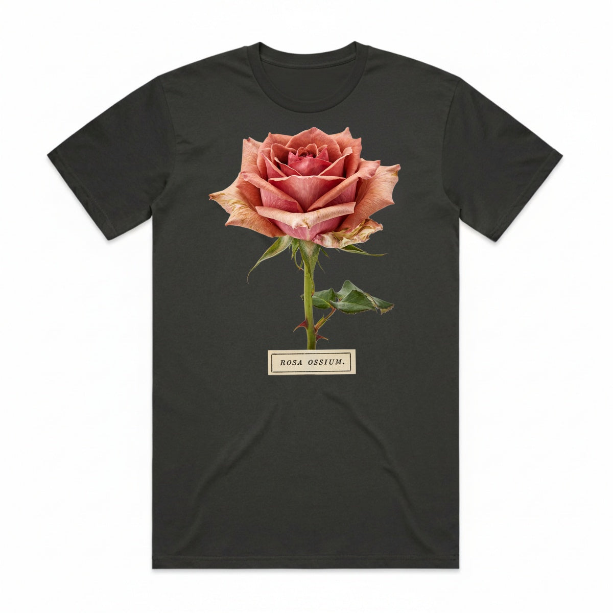 Rosa Ossium T-Shirt - Cooled Coals