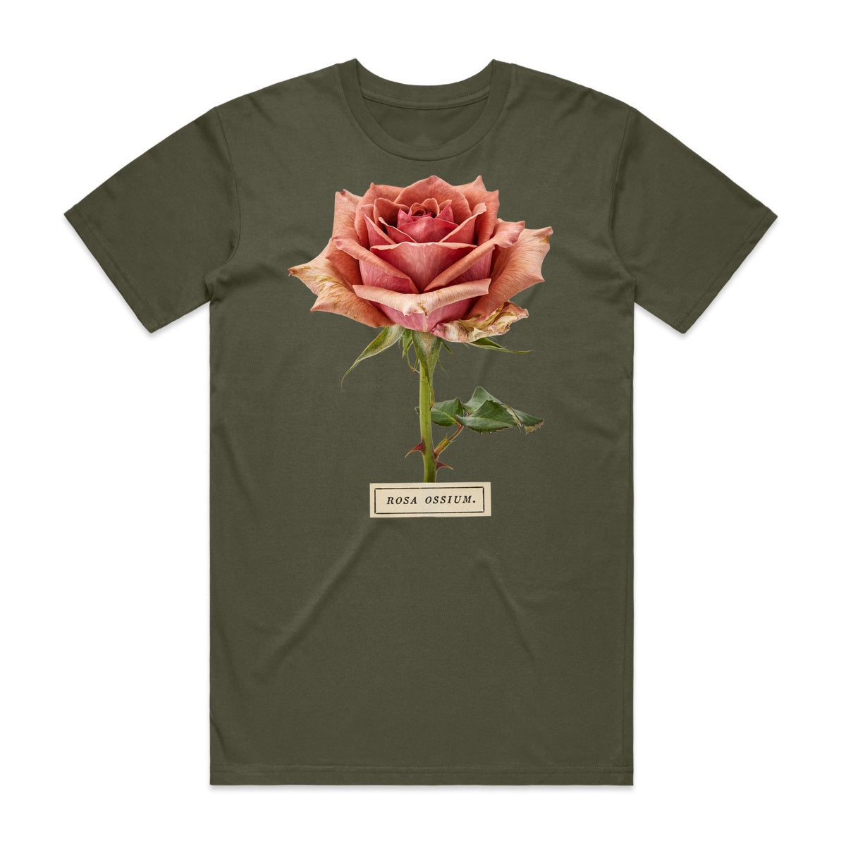 Rosa Ossium T-Shirt - Goblin Green