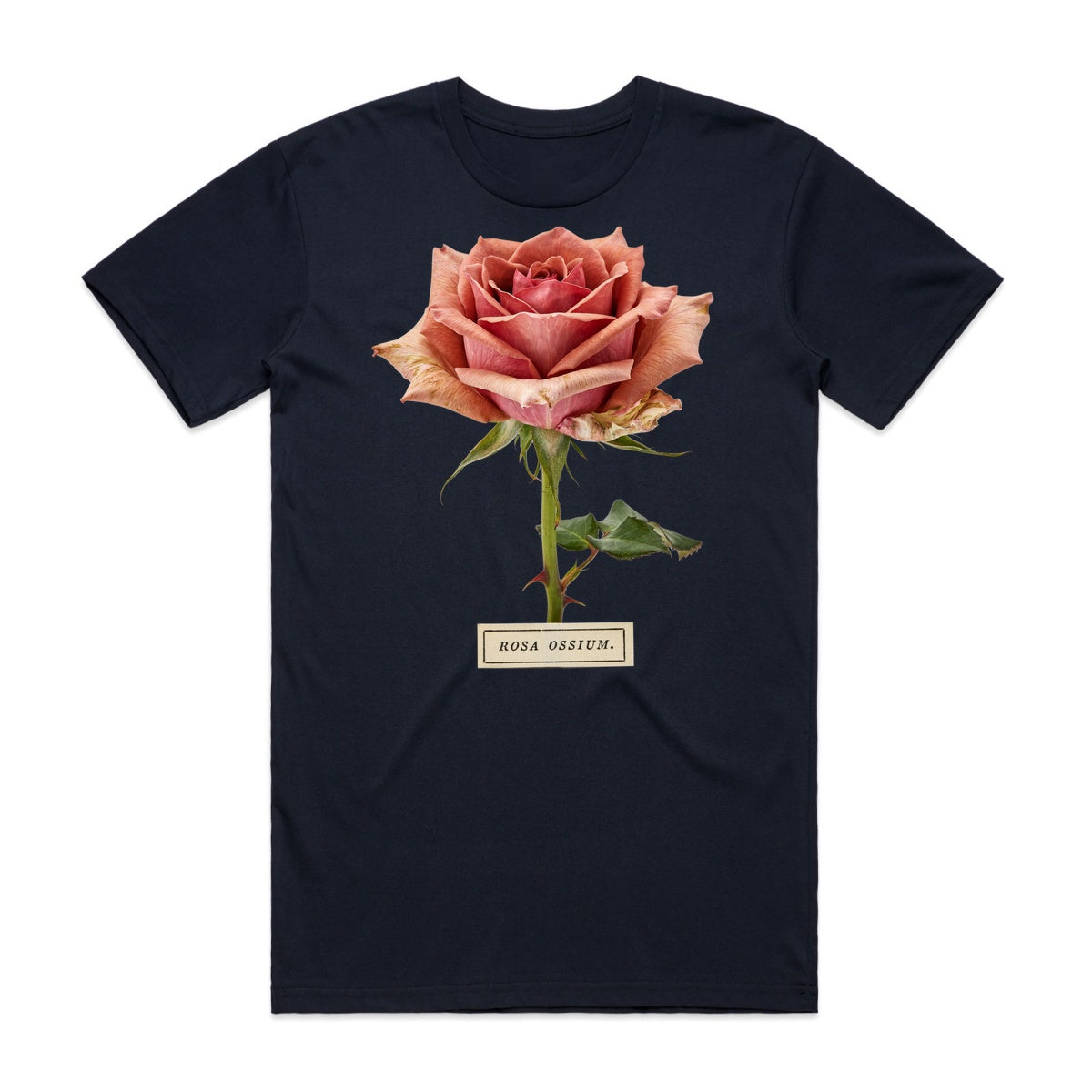 Rosa Ossium T-Shirt - Midnight Haunt