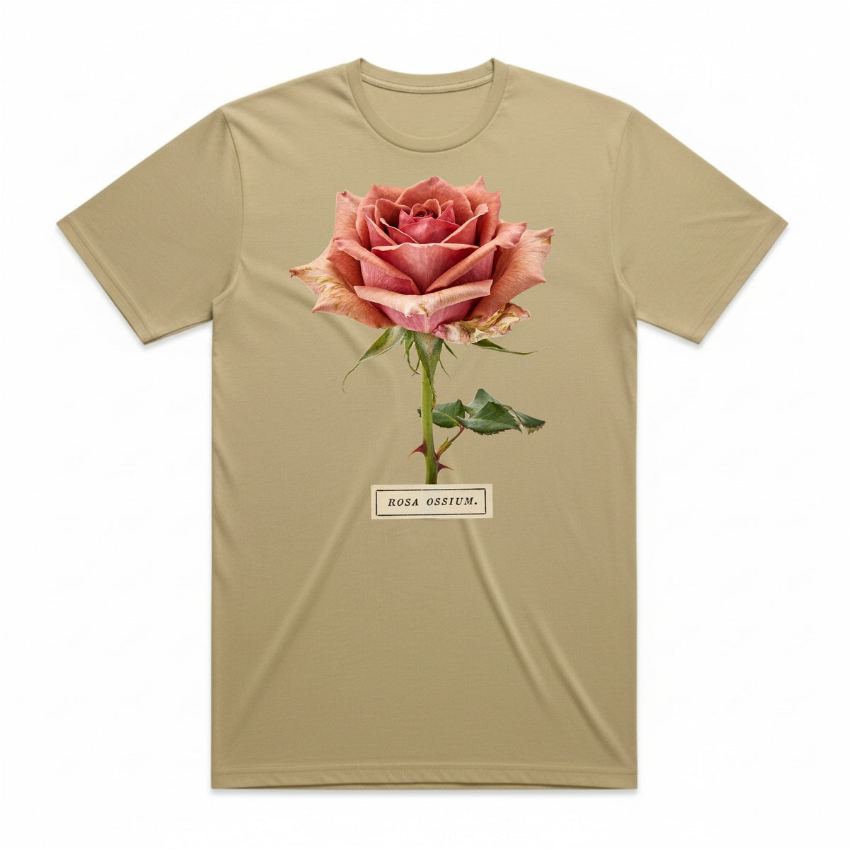 Rosa Ossium T-Shirt - Mummy Wrap