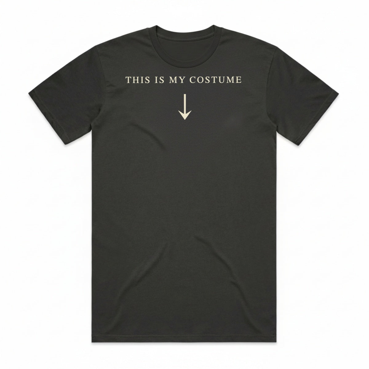 This Is My Costume T-Shirt - Cooled Coals