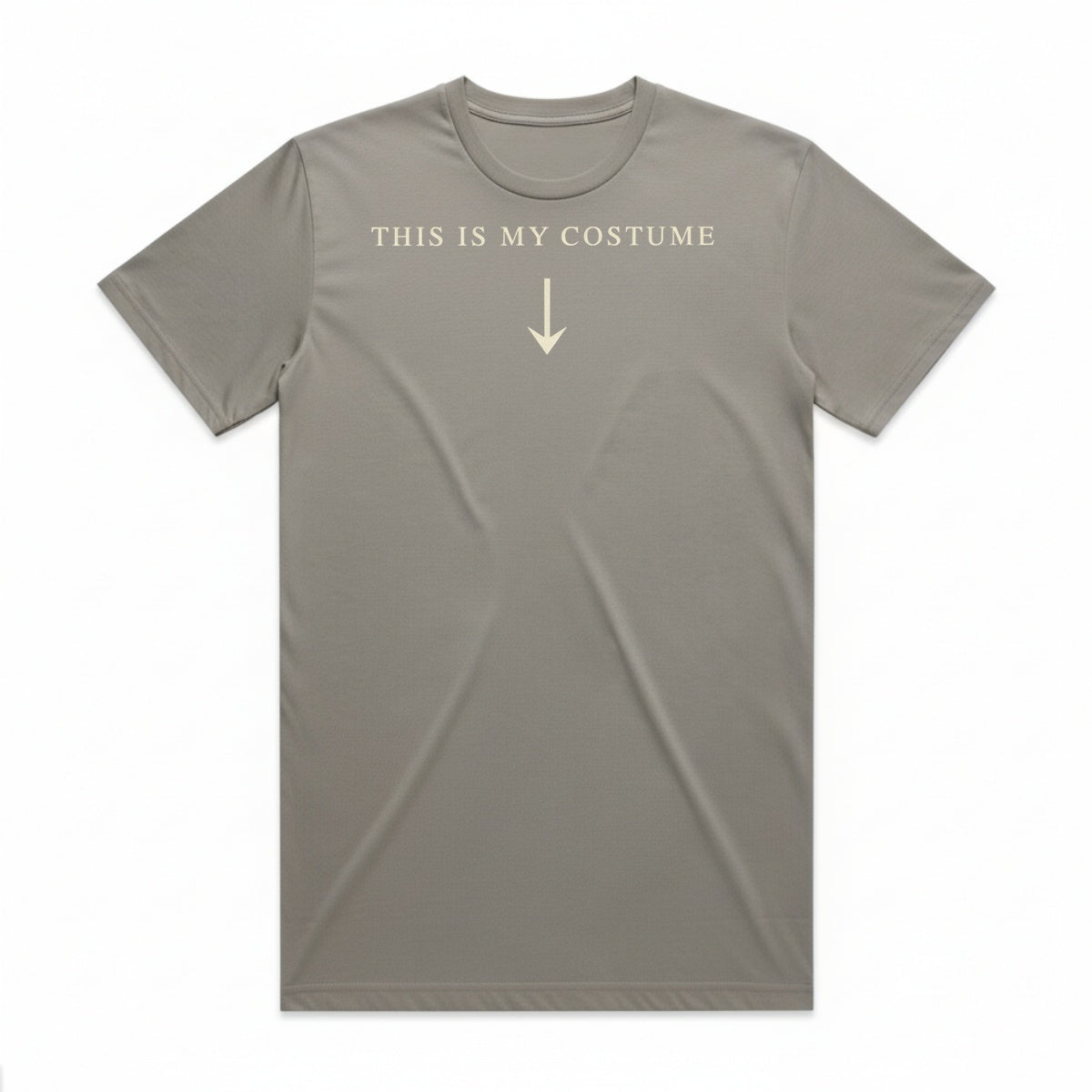 This Is My Costume T-Shirt - Phantom Gray