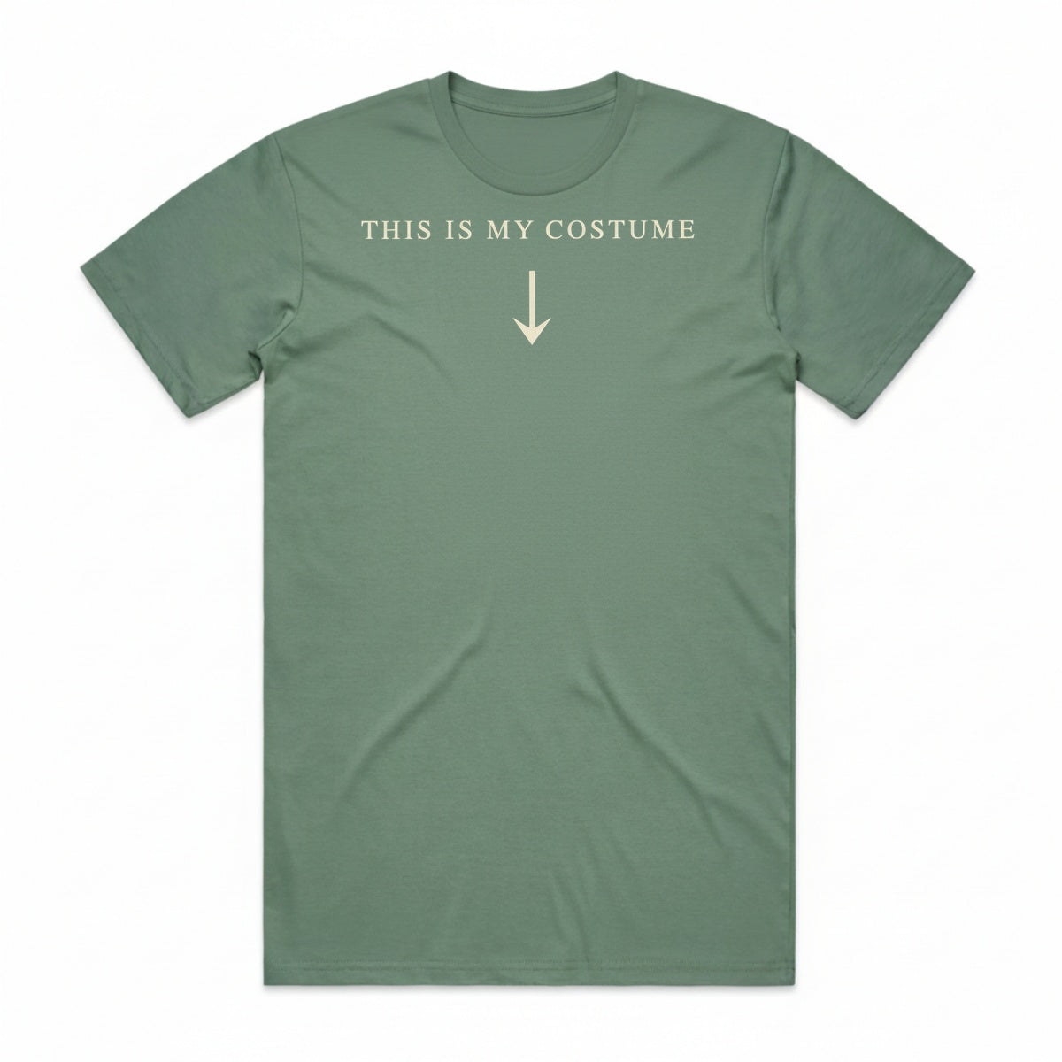This Is My Costume T-Shirt - Swamp Zombie